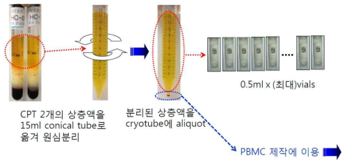 보관용 plasma 시료 제작 과정