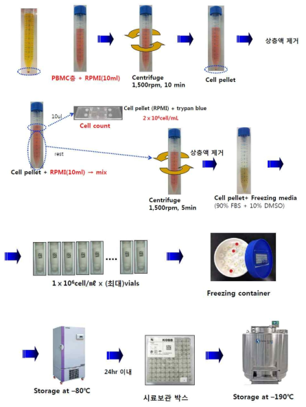 보관용 PMBC 시료 제작 과정