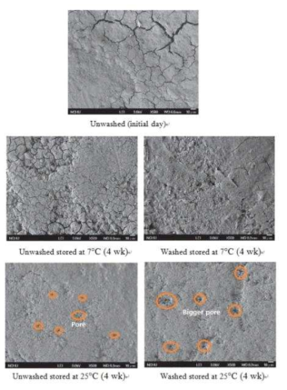 Scanning electron micrographs (x500) of the surface of unwashed and washed shell eggs stored for 4 weeks at 6 and 25℃ (Liu et al., 2016)