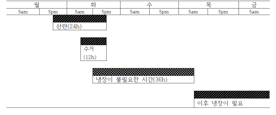 산란후 36시간 경과시점 예