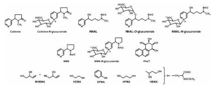 Chemical structures of the tobacco carcinogen and toxicant biomarkers