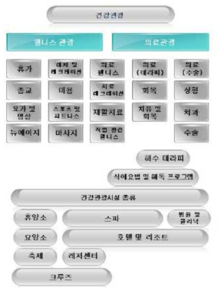 건강관광 개념 *출처: SRI, The global Wellness Tourism Economy, 2013.11. *재인용: 문화체육관광부, 체류형 의료관광 클러스터 모델 개발 연구, 2014.02