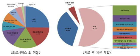 외국인환자 건강관광 이용 행태(의료서비스 외)