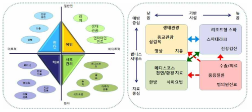 건강관광 프로그램 개발 방향 *출처: 제주특별자치도, 2016년 지역선도 의료기술 육성 사업계획서