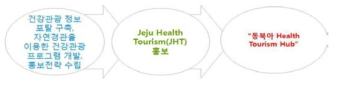 동북아 Health Tourism Hub 이미지 메이킹