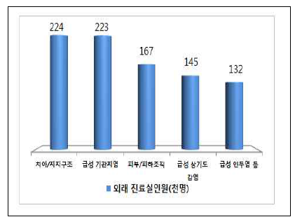 제주특별자치도 다빈도 상병(외래)