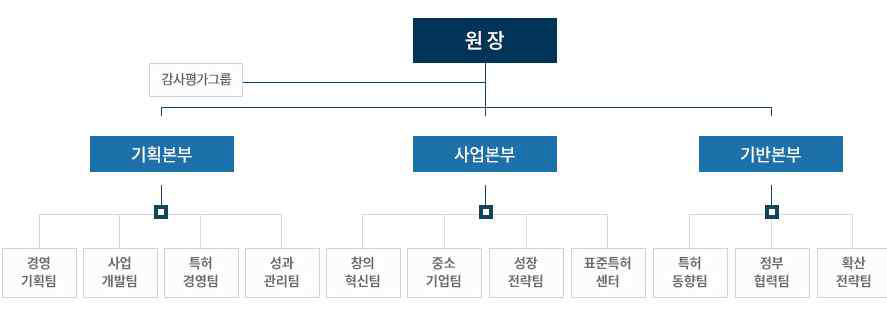 한국지식재산전략원 조직도