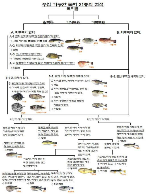 수입 가능한 복어 21종의 검색 매뉴얼