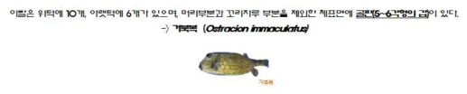 거북복科(Ostraciidae) 어류 분류를 위한 검색 매뉴얼