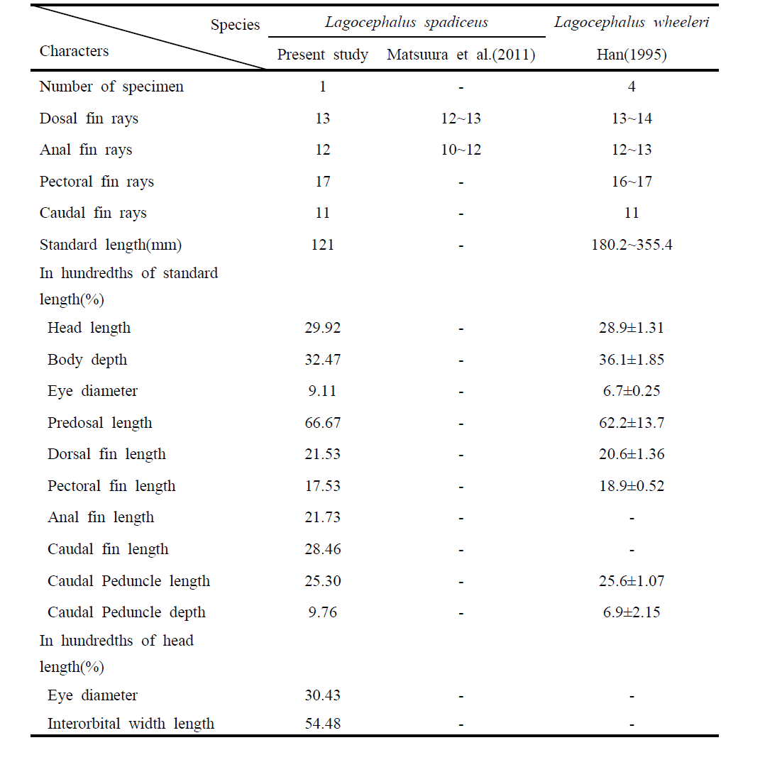 Comparison of meristic characters and measuring characteristic of Lagocephalus spadiceus and Lagocephalus wheeleri