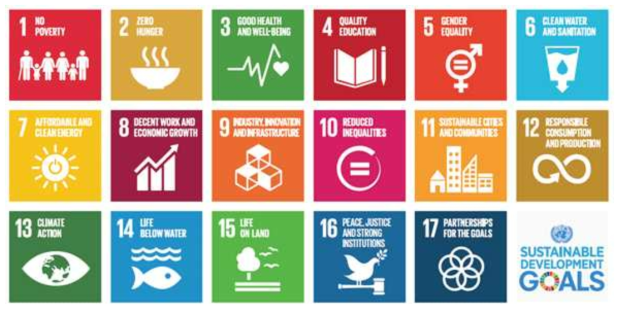 유엔 지속가능발전목표(SDGs)의 17개 목표(출처: United Nations, 2016)