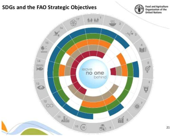 SDGs와 FAO의 전략목표(출처: FAO, 2016)