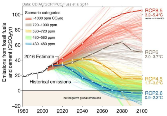 기후변화 시나리오별 감축(출처: Fuss et al., 2014)