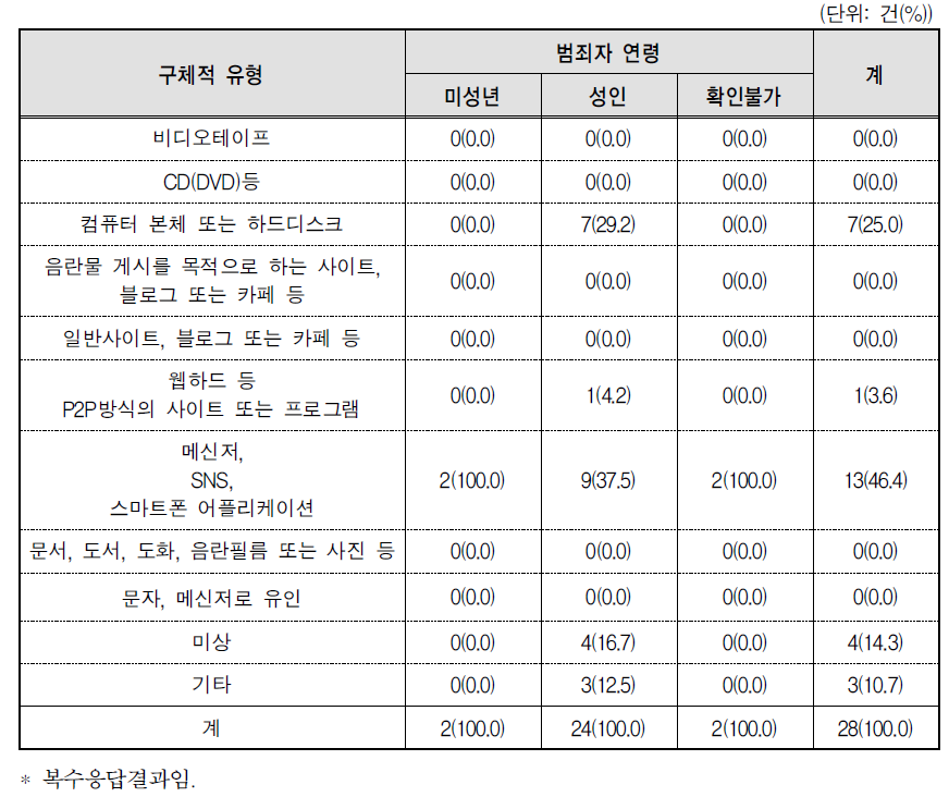 아동･청소년이용음란물 소지 유형