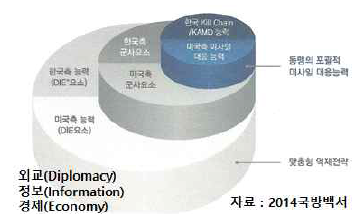 맞춤형 확장억제전략 체계도