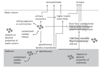 민물계에서 미세플라스틱의 잠재적인 거동경로 (Eerkes-Medrano et al., 2015)