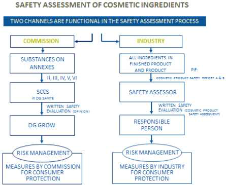 화장품 성분의 안전성 평가 절차