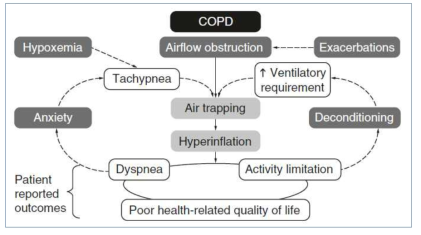 COPD에서 신체활동의 감소로 인한 악순환 (vicious cycle). (Troosters등 Respiratory research 2013)