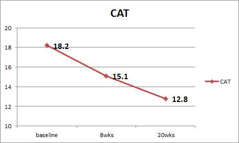 가정호흡재활 치료 전후의 CAT score의 변화