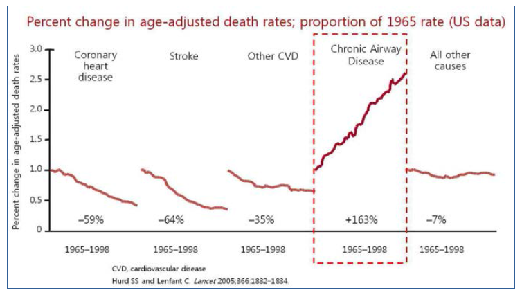 미국 사망률 변화 추세 (Percent change in age-adjusted death rates in US)