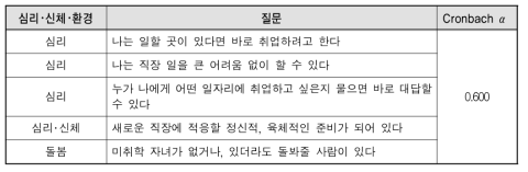 심리･신체･환경적 요소 Cronbach α 검증