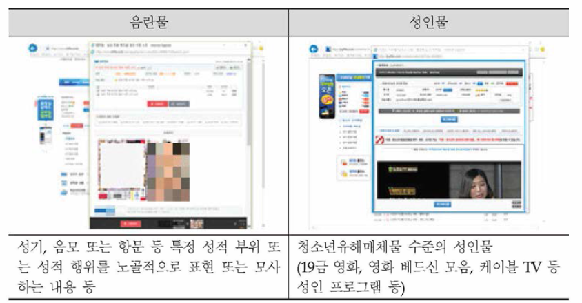 게시물 음란물 및 성인물 판단 기준