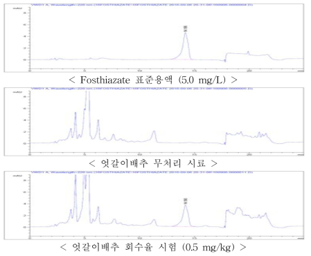 엇갈이배추 중 fosthiazate의 회수율 크로마토그램