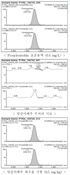 엇갈이배추 중 pyraclostrobin의 회수율 크로마토그램