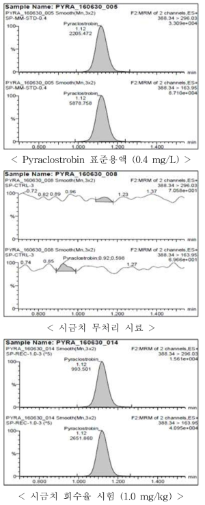 시금치 중 pyraclostrobin의 회수율 크로마토그램