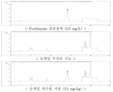 들깻잎 중 fosthiazate의 회수율 크로마토그램