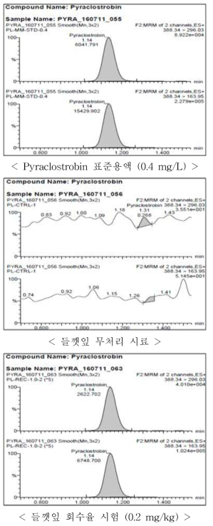 들깻잎 중 pyraclostrobin의 회수율 크로마토그램