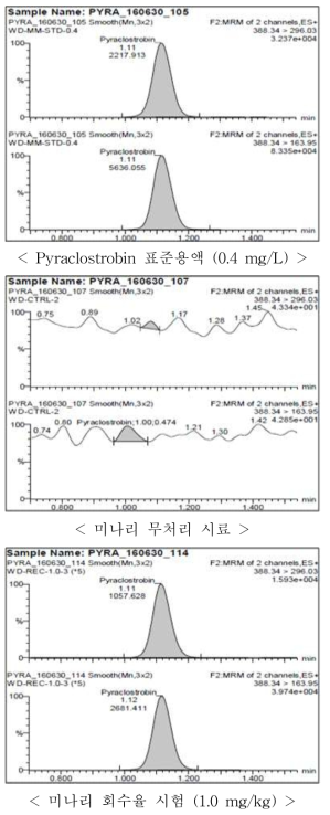 미나리 중 pyraclostrobin의 회수율 크로마토그램