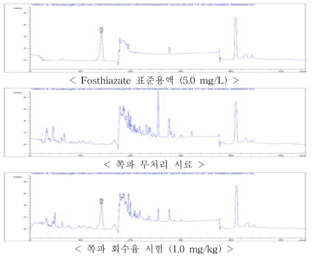 쪽파 중 fosthiazate의 회수율 크로마토그램