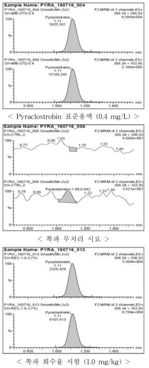 쪽파 중 pyraclostrobin의 회수율 크로마토그램
