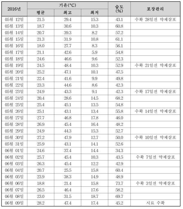 시금치 포장의 실내 기상표(포장 2)