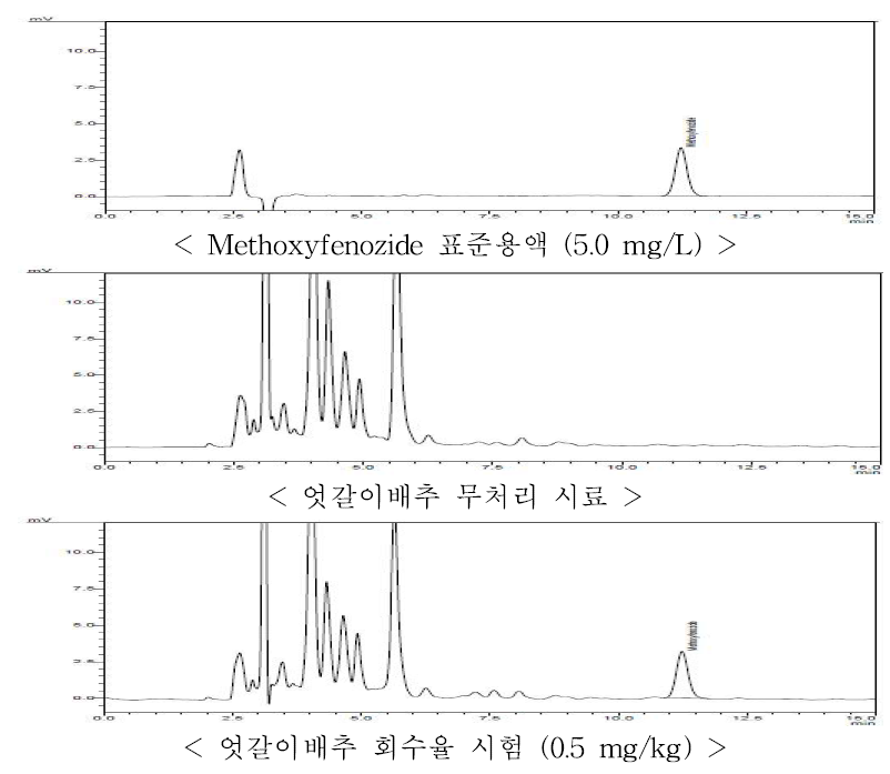 엇갈이배추 중 methoxyfenozide의 HPLC-UVD 회수율 크로마토그램