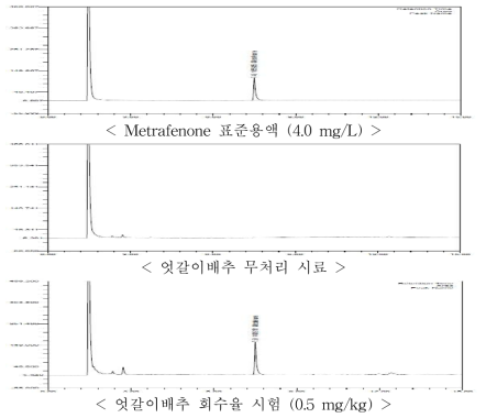 엇갈이배추 중 metrafenone의 GC-ECD 회수율 크로마토그램