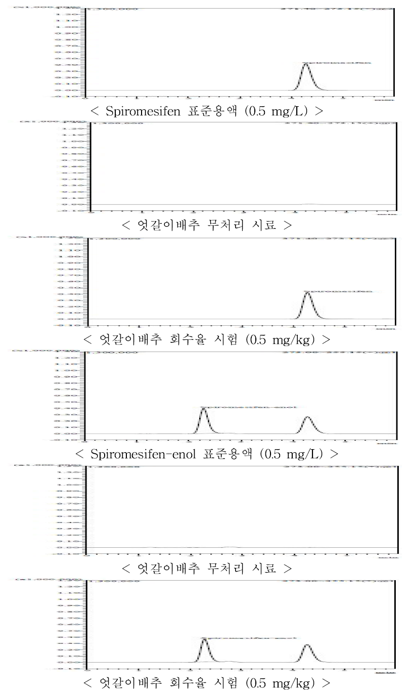 엇갈이배추 중 Spiromesifen, spirpmesifen-enol의 LC-MS/MS 회수율 크로마토그램