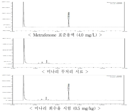 미나리 중 metrafenone의 GC-ECD 회수율 크로마토그램