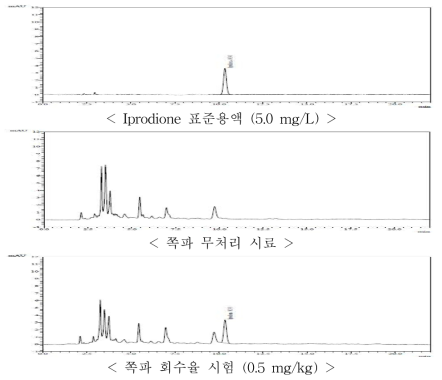 쪽파 중 iprodione의 HPLC-UVD 회수율 크로마토그램