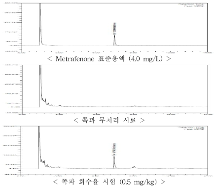 쪽파 중 metrafenone의 GC-ECD 회수율 크로마토그램