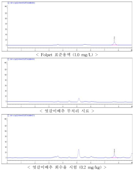 엇갈이배추 중 Folpet의 HPLC-DAD 회수율 크로마토그7램