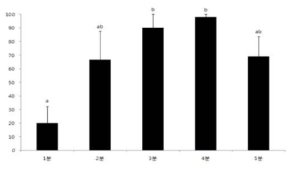 수정 후 처리 개시시간에 따른 3배체 유도율