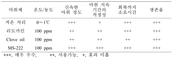 미세현미주입용 미꾸리 자어의 마취 평가