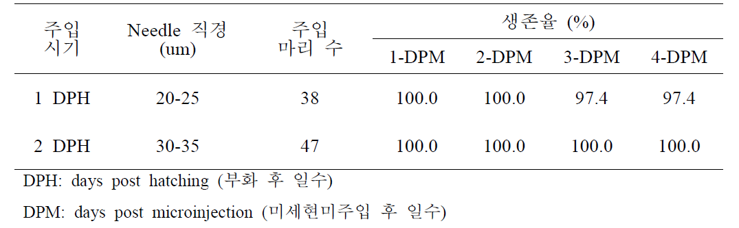 자어 발달 단계별 미세현미주입 후 생존율 평가 (2차)