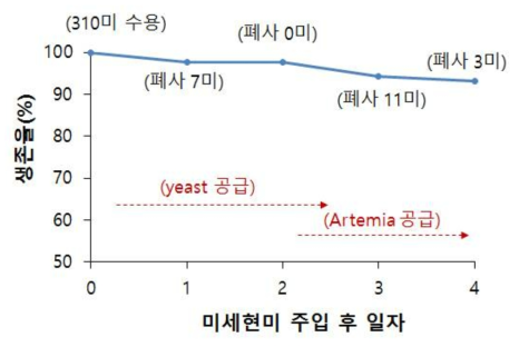 세포 미세현미주입 후 자어의 생존율