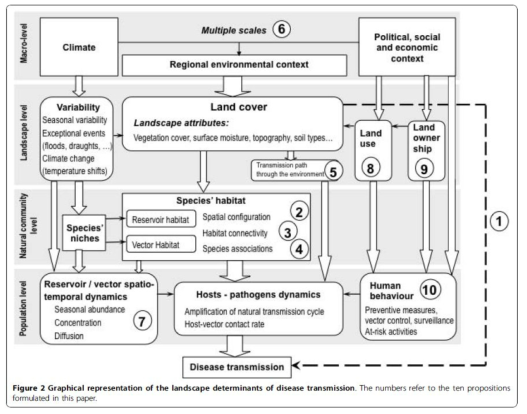 경관역학에 연관된 환경-사회-생태적인 요인들 간의 관계 출처: Lambin et al(2010)