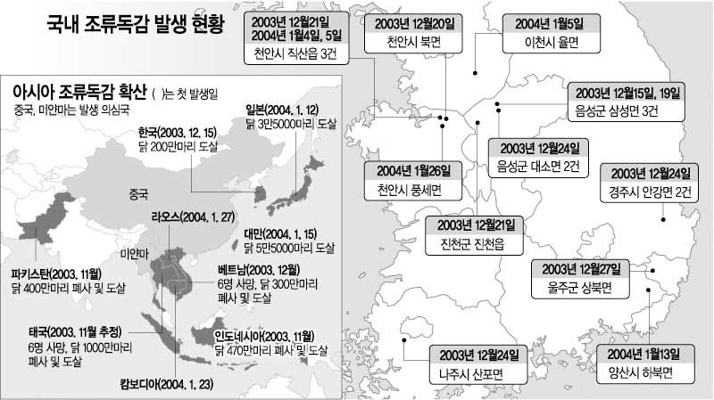 국내 조류독감 발생 현황 출처: 개벽자료실(2009), www.gb.jds.or.kr