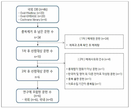 영화 속 흡연장면 문헌선정 흐름도