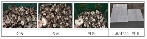 생표고 등급운영 사례(상, 중, 하품) 및 포장형태